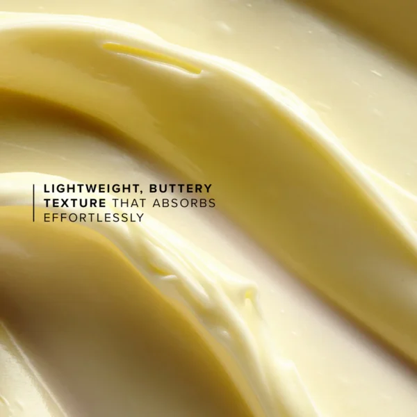 Honey Halo Jumbo 100 ml | 3.4 oz - Image 7